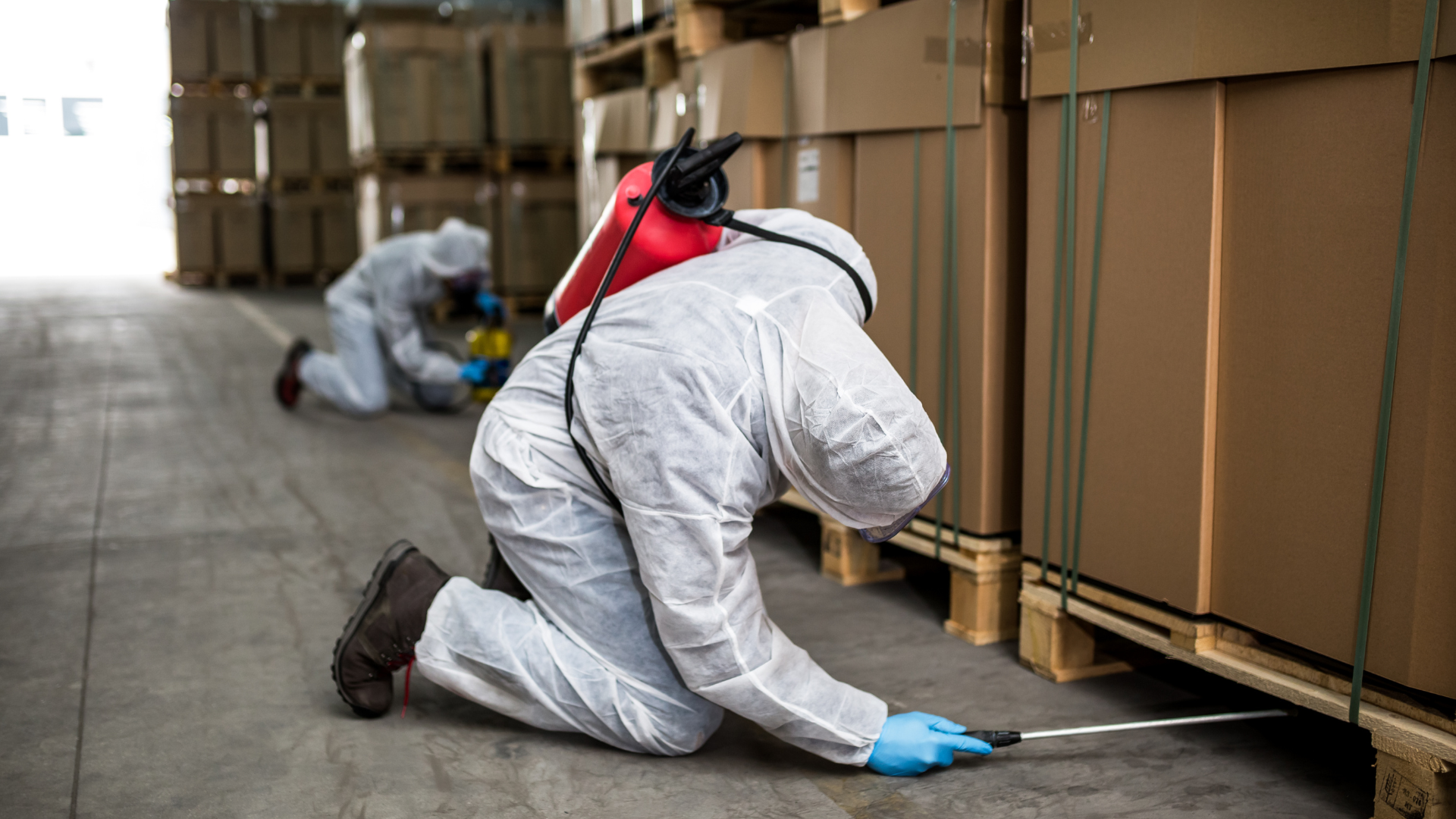 Two people in protective suits spraying insecticide in a warehouse.