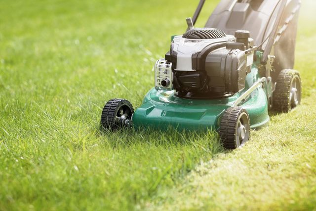Green lawnmower cutting green grass in a sunny yard.