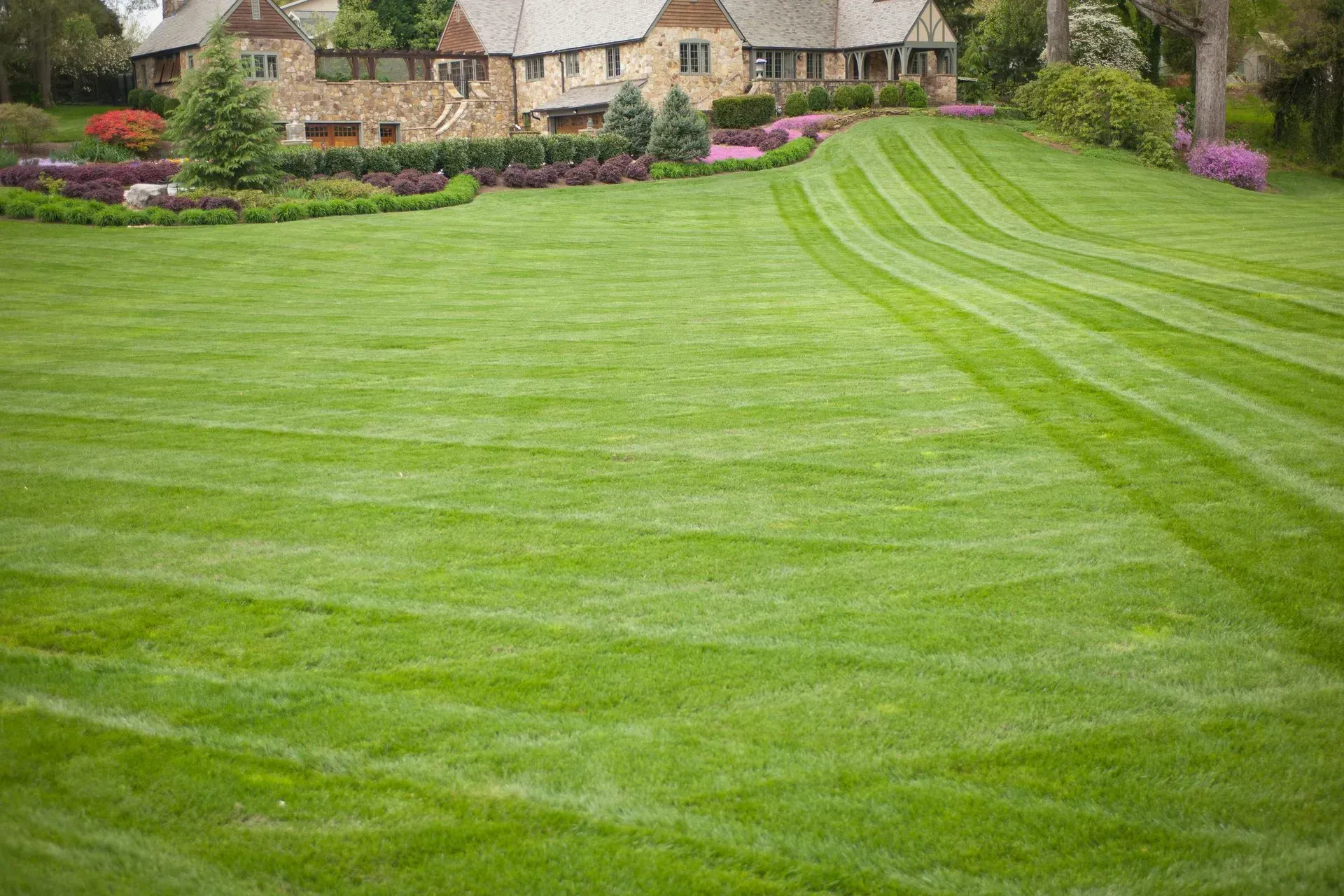 Lawn with neat stripes, leading to a house with stone facade, surrounded by landscaping.