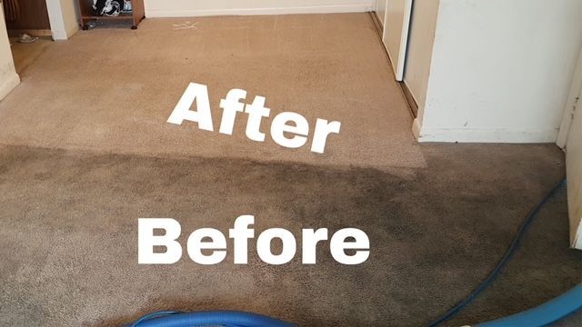 A before and after picture of a carpet being cleaned