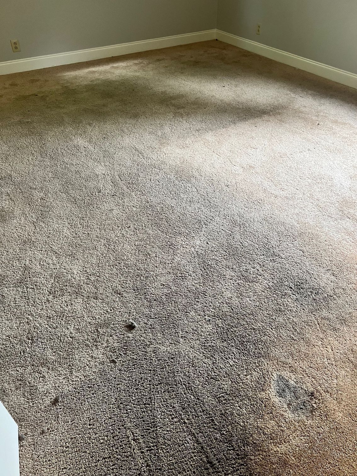 A room with a dirty carpet and a white wall.