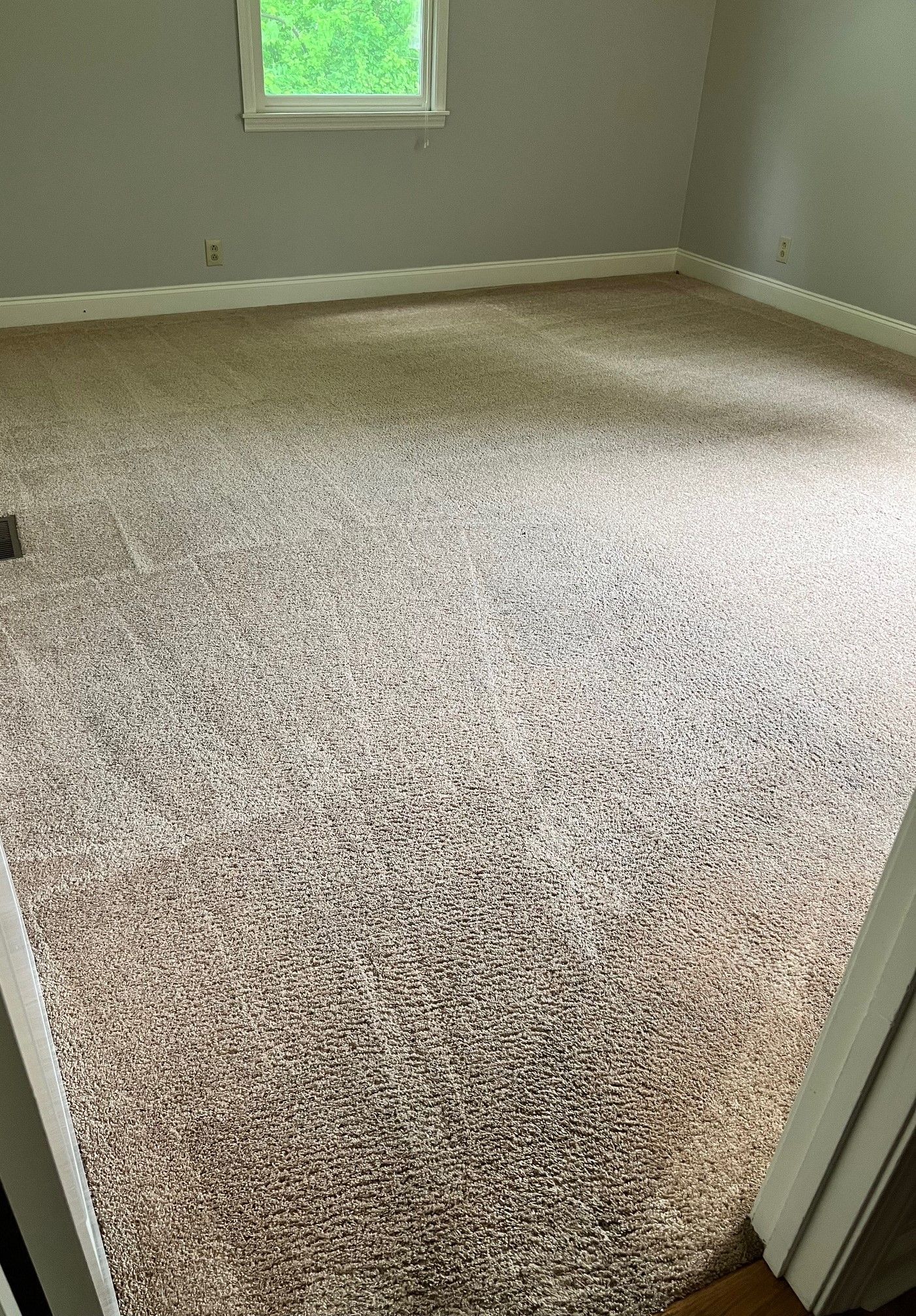 A bedroom with a large carpeted floor and a window.