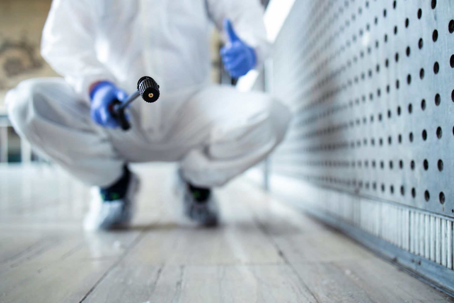 A person in a white suit and blue gloves is kneeling down on the floor.