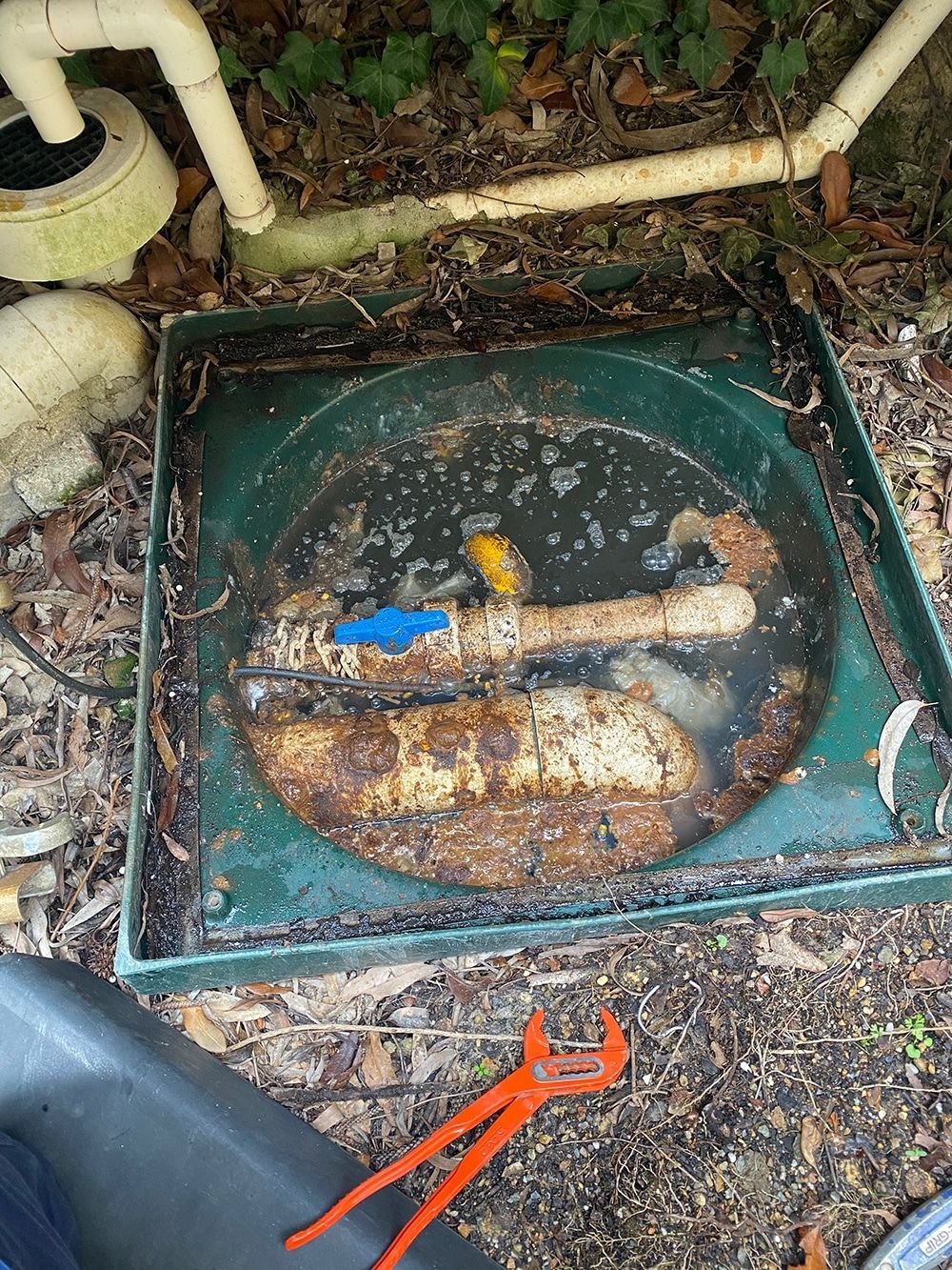 blocked septic tank
