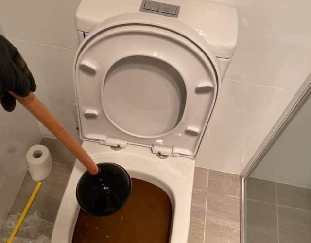 Plunge Blocked toilet