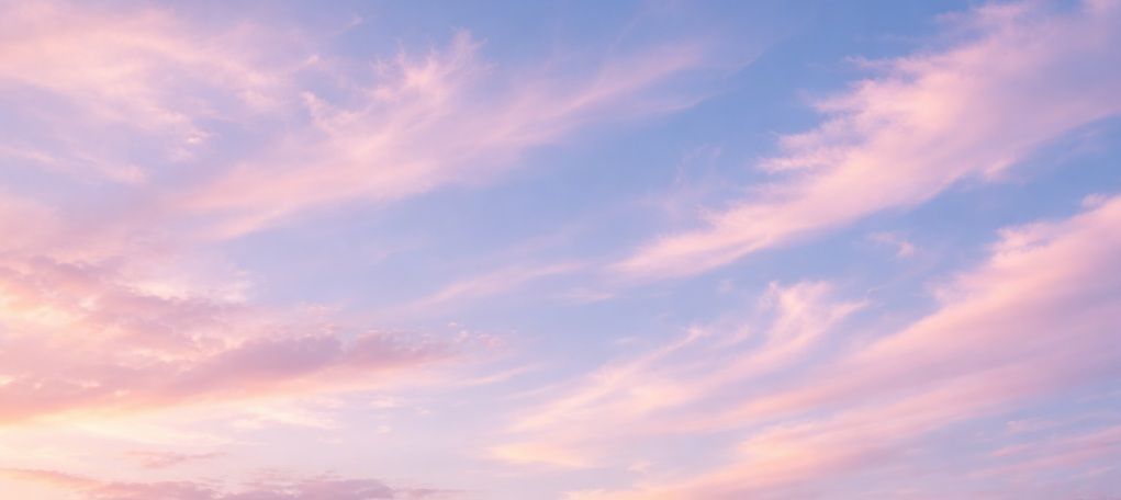 cremation Jacksonville, FL