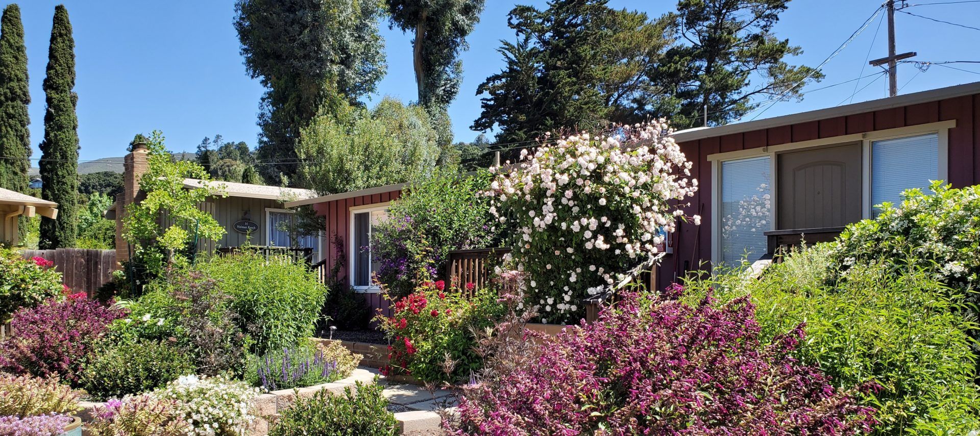 A house with a lot of flowers in front of it