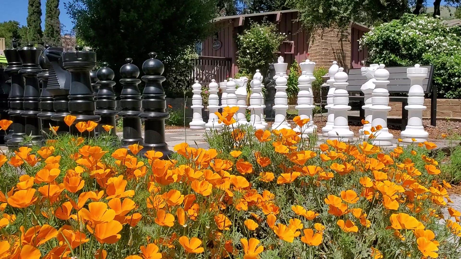 A bunch of chess pieces are in a field of flowers