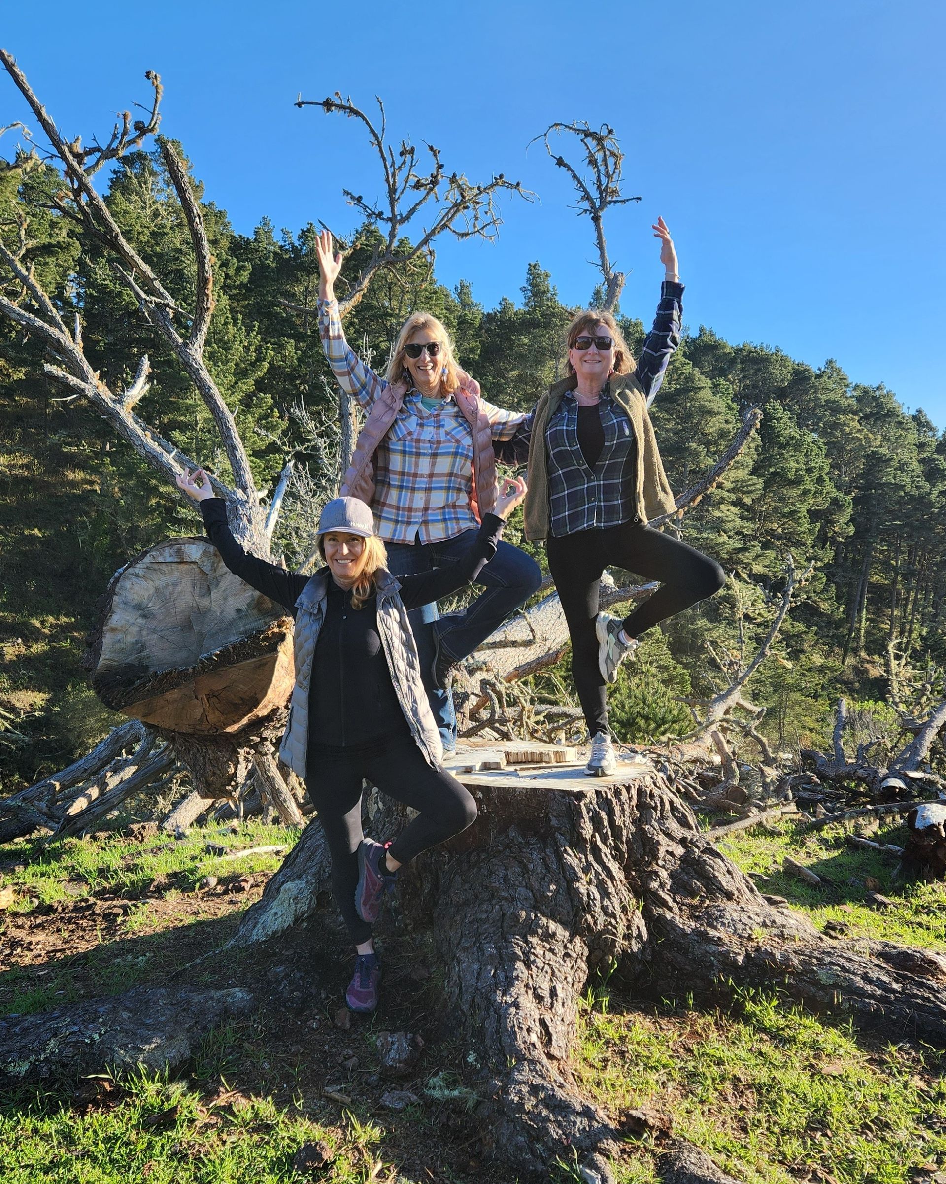 Three women are standing on top of a tree stump.