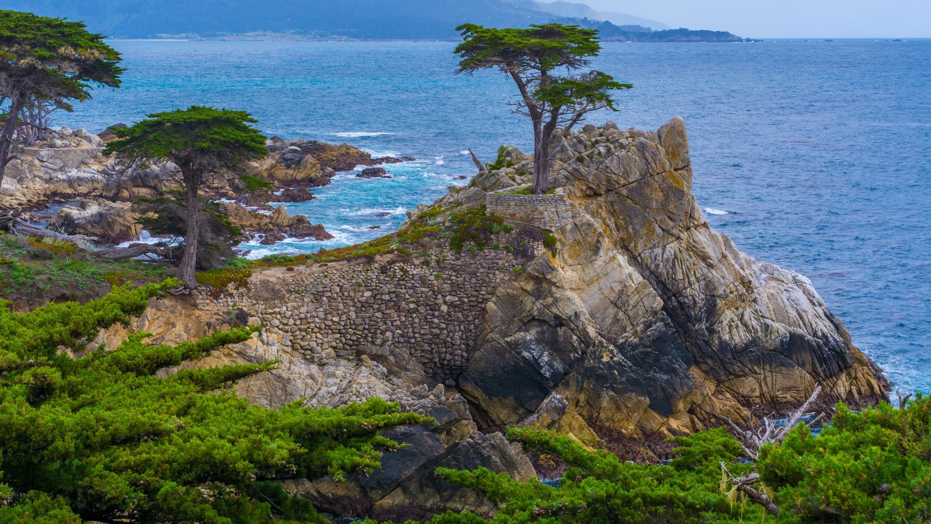 A tree is sitting on top of a rocky cliff overlooking the ocean.