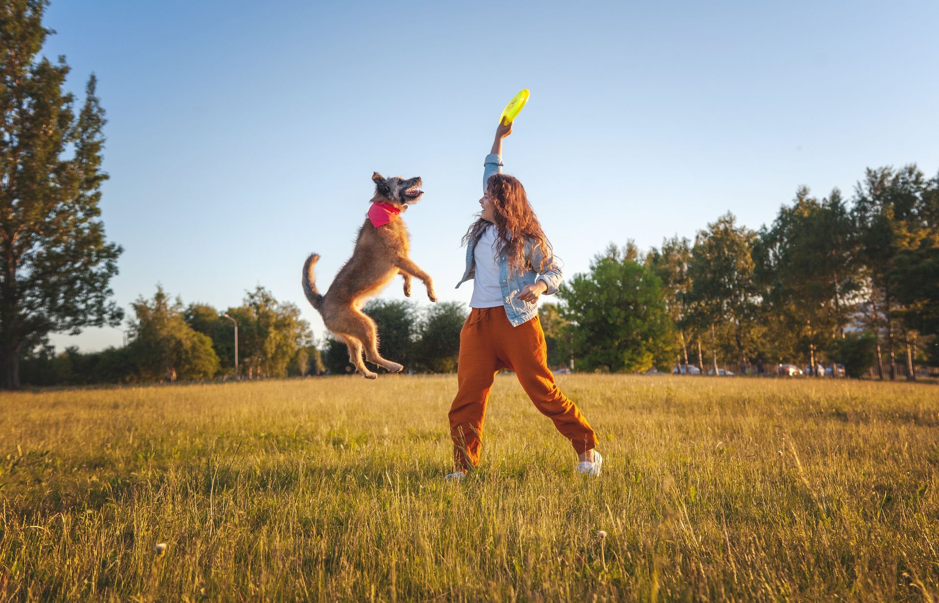 A woman is playing frisbee with her dog in a field.