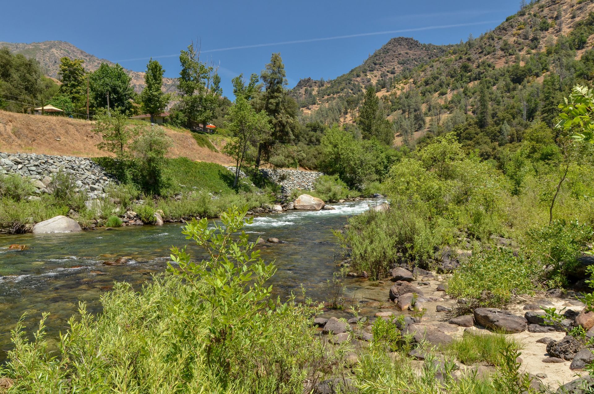 A river flowing through a lush green forest with mountains in the background