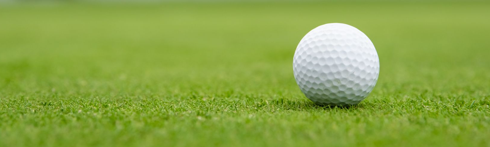 White golf ball on green grass.