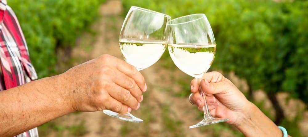 A man and a woman are toasting with wine glasses in a vineyard.