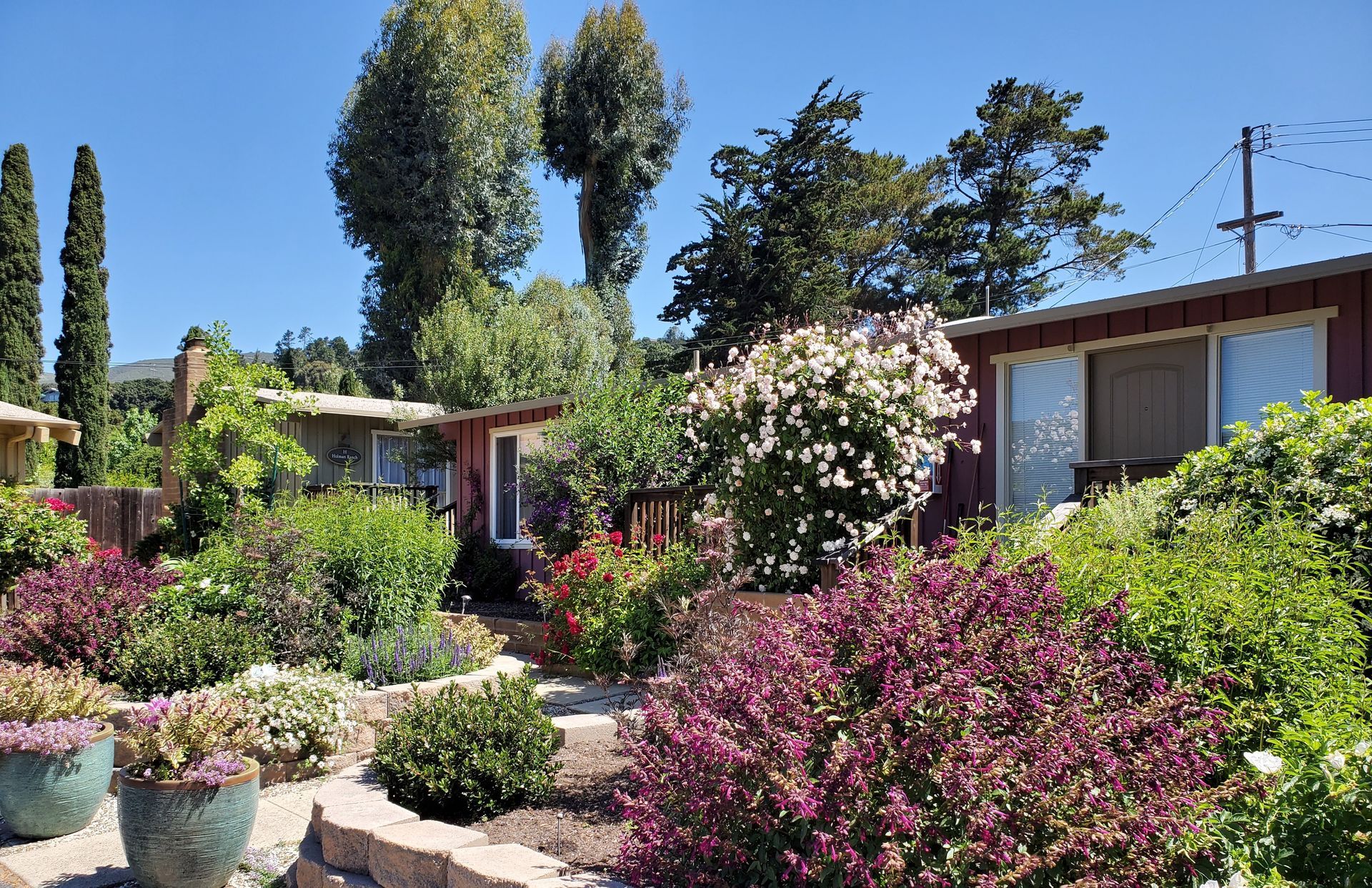 A house with a lot of flowers in front of it