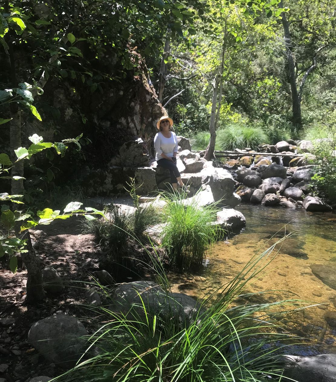 A woman is standing next to a stream in the woods.