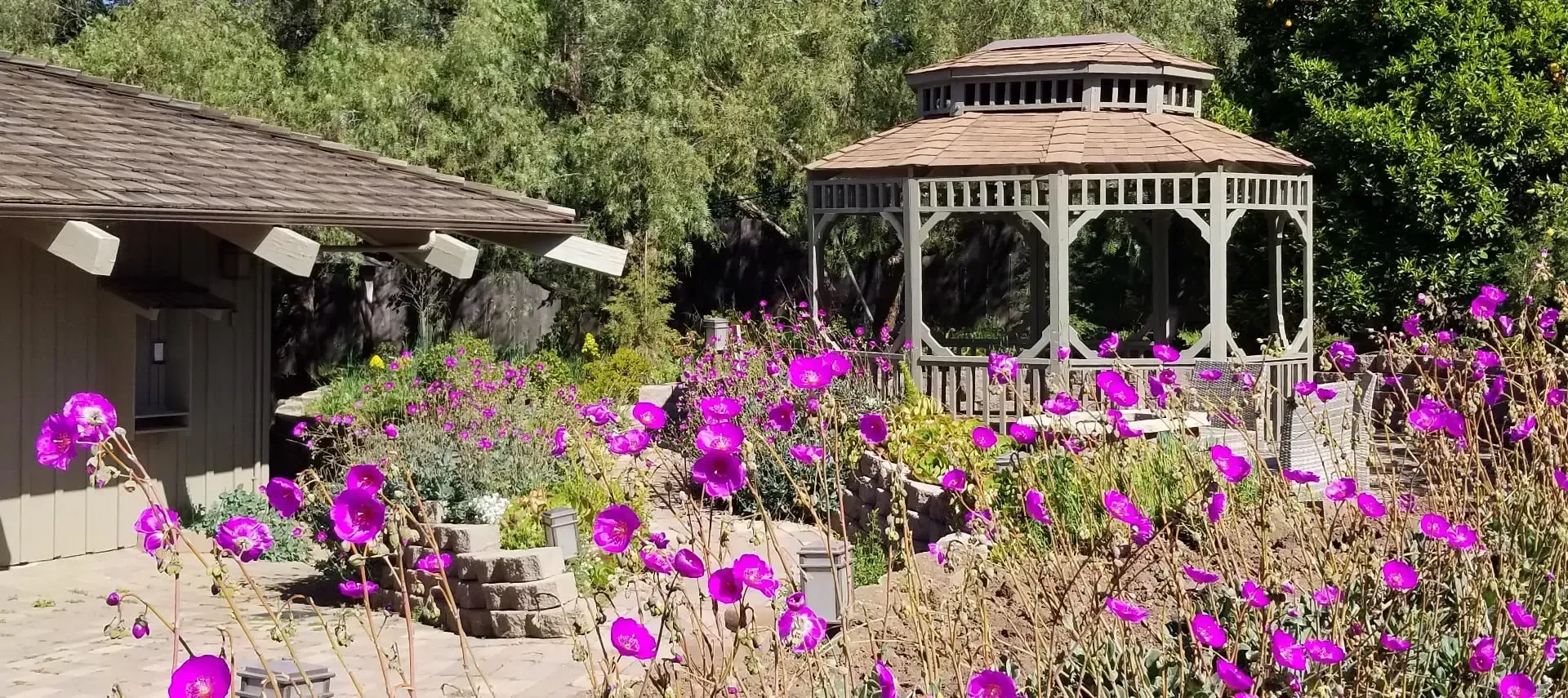 A gazebo is surrounded by purple flowers in a garden.