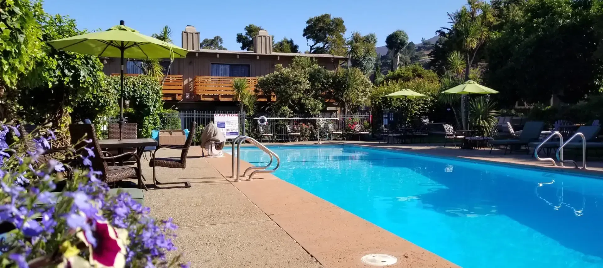 A large swimming pool with umbrellas and chairs around it