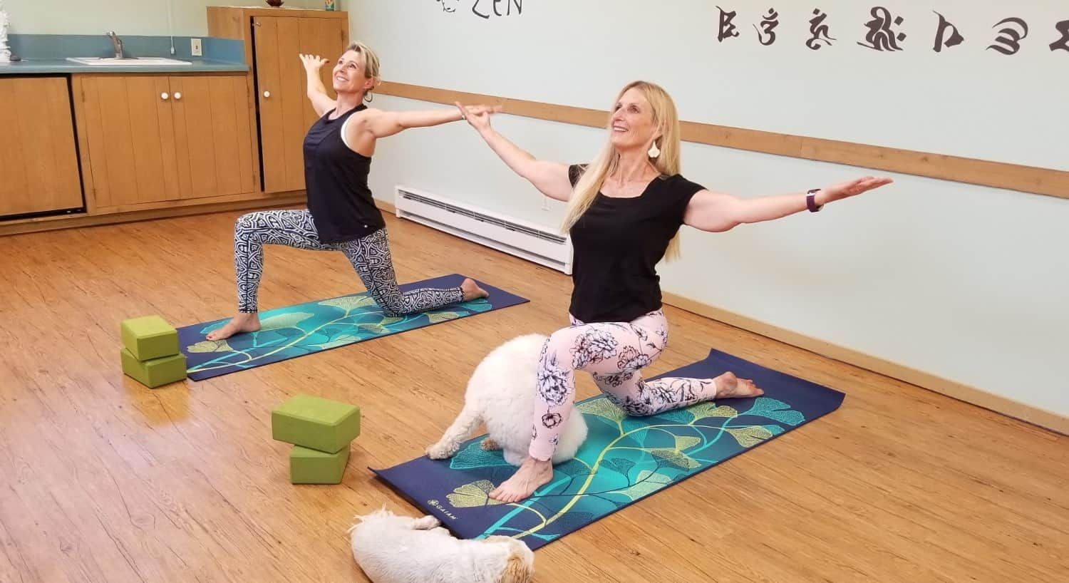 Two women are doing yoga with their dogs in a room.