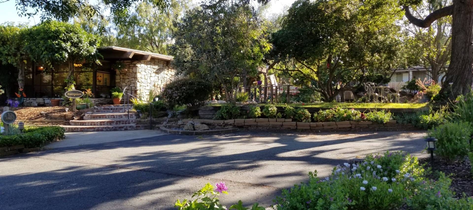 A driveway leading to a house surrounded by trees and bushes.