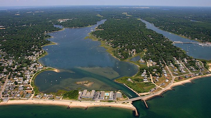 An aerial view of a large body of water surrounded by trees
