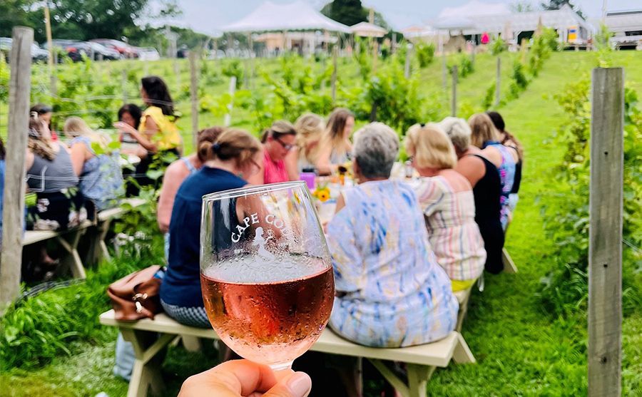 A person is holding a glass of wine in front of a group of people sitting at a picnic table.