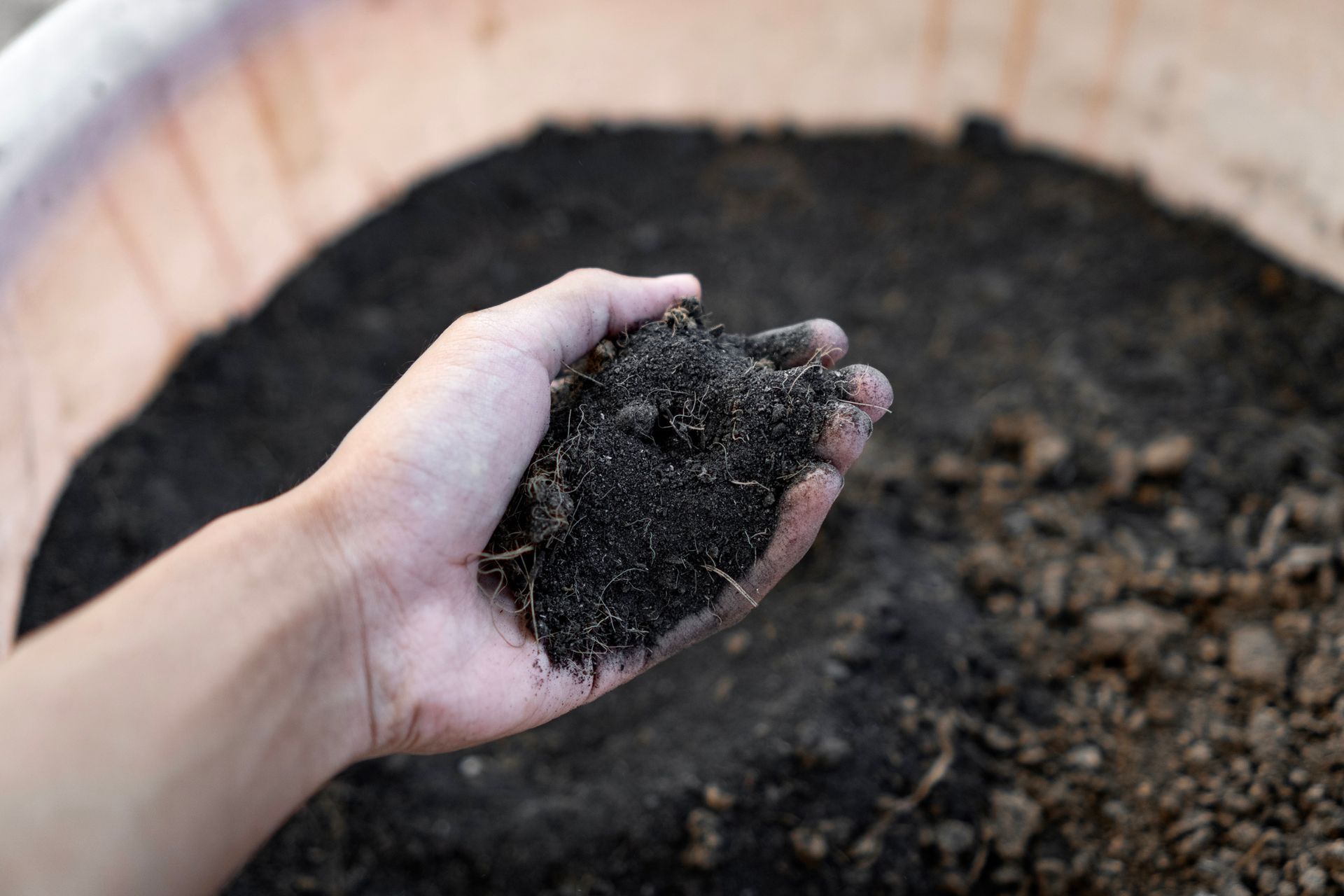 A person's hand holding dark, rich soil from a container, suggesting gardening or soil assessment.