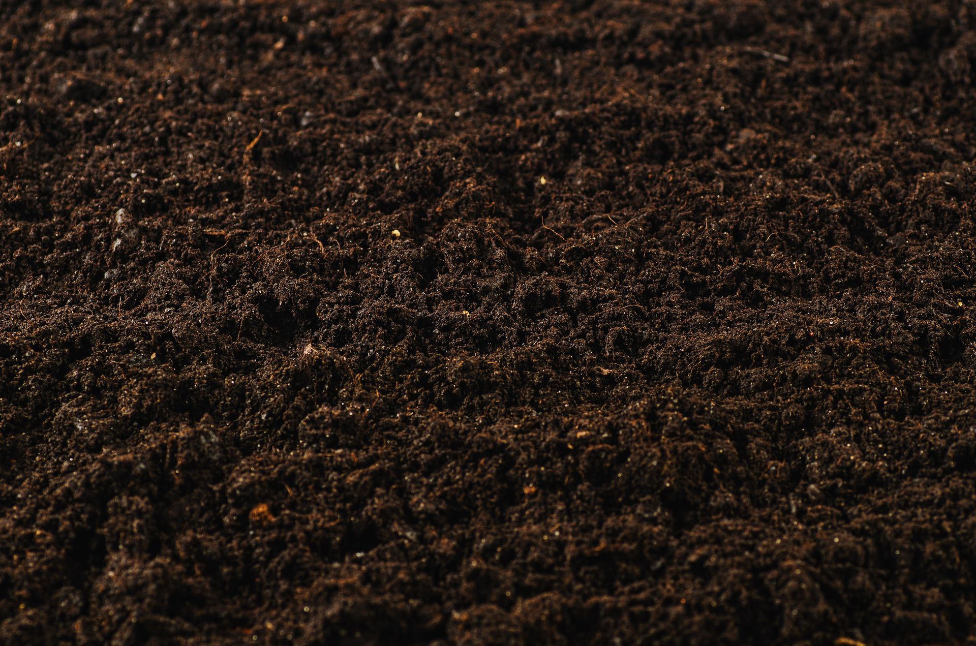 Close-up of a dirt surface.