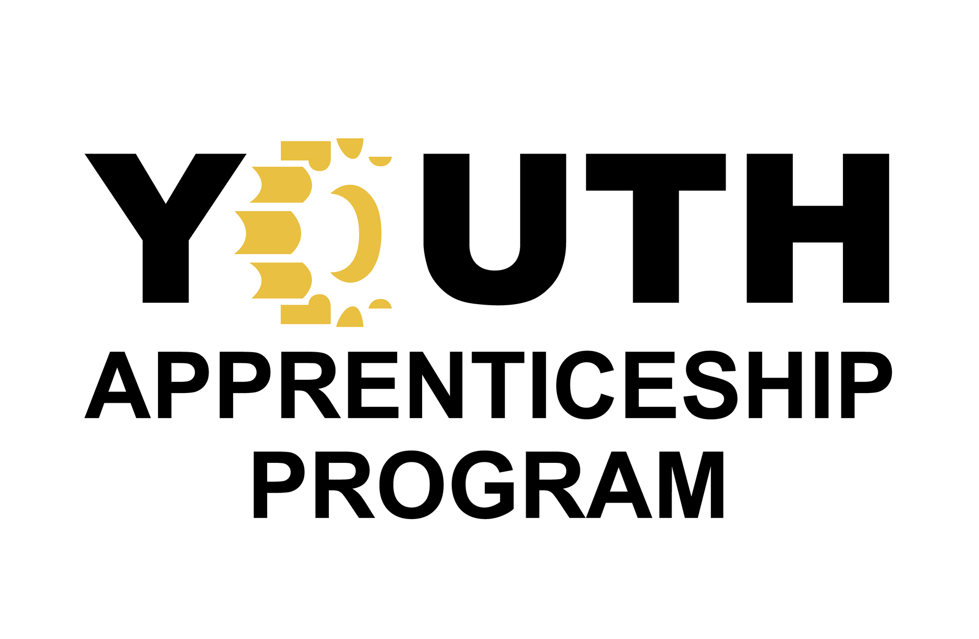 Youth Apprenticeship Program