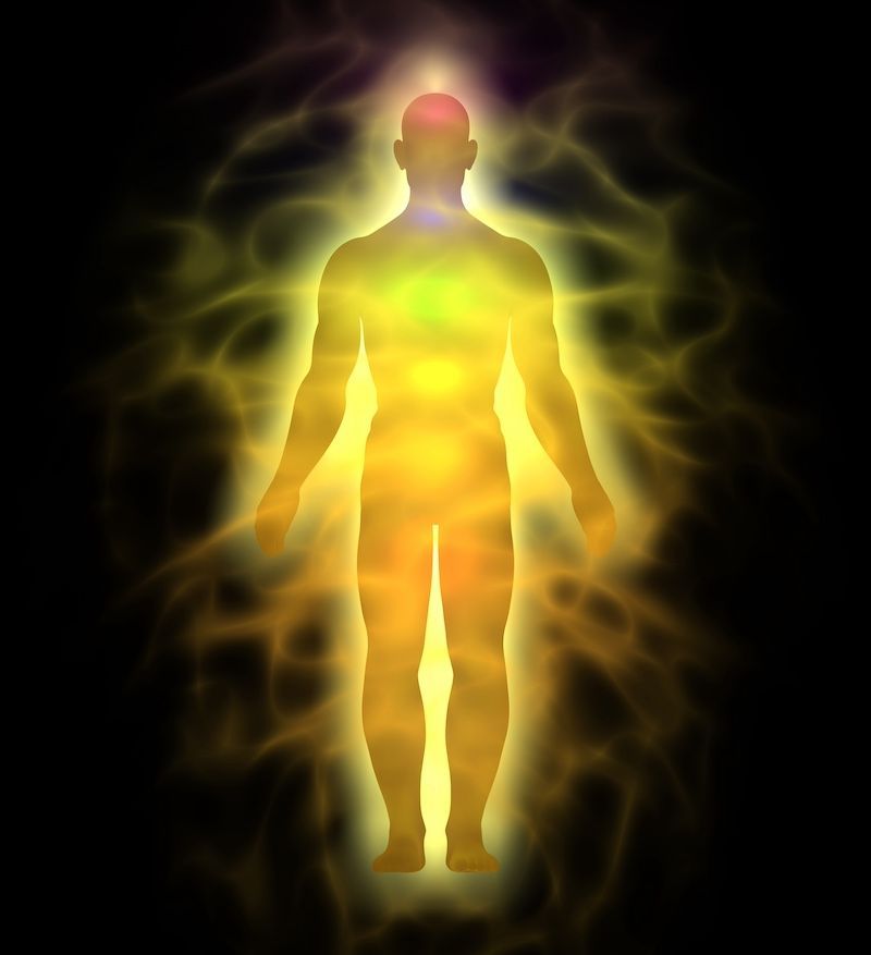 introduction to the chakras