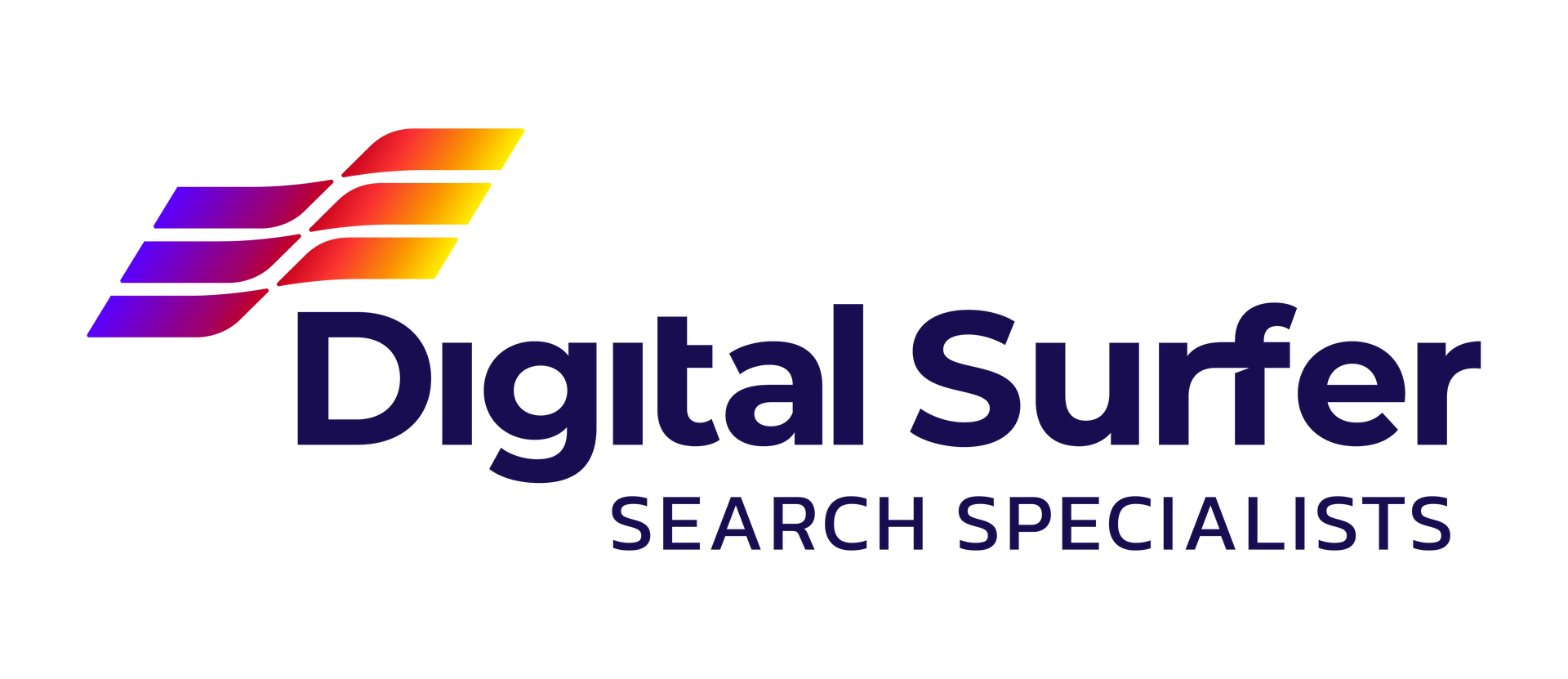Digital Surfer logo