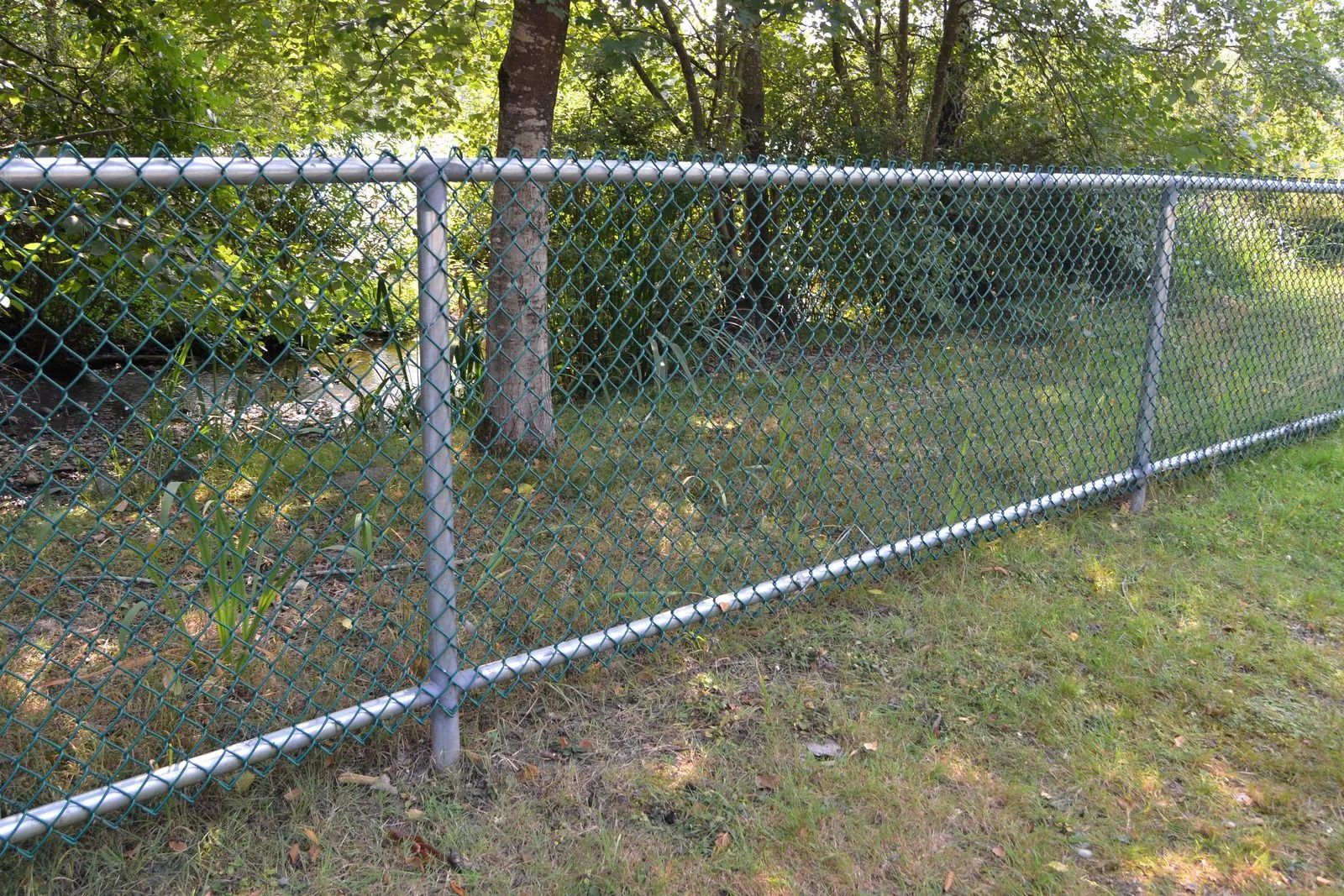 Chain-link fence along a grassy wooded area with trees in the background