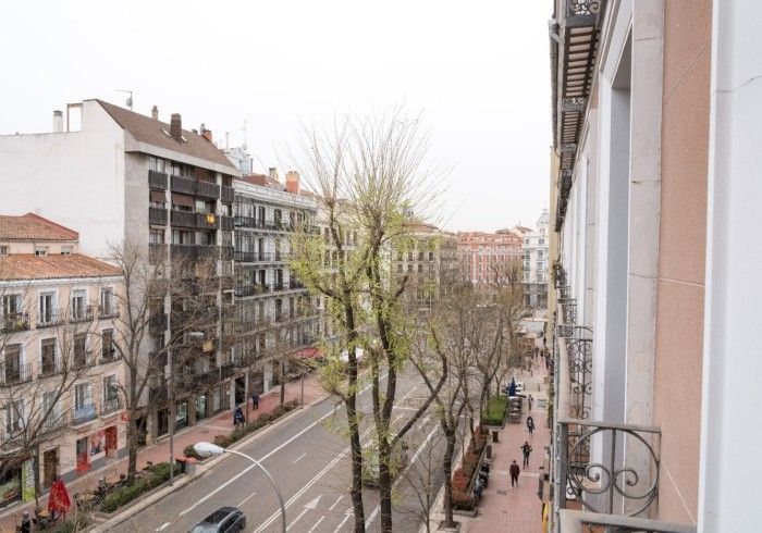 Vista desde el balcón a una calle arbolada de la ciudad con edificios de apartamentos y coches aparcados.