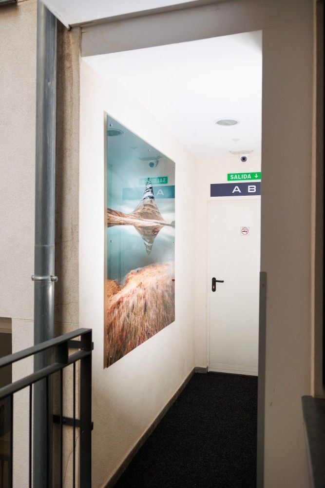 Pasillo estrecho con una foto en la pared, alfombra oscura y una puerta blanca con un letrero verde que indica 