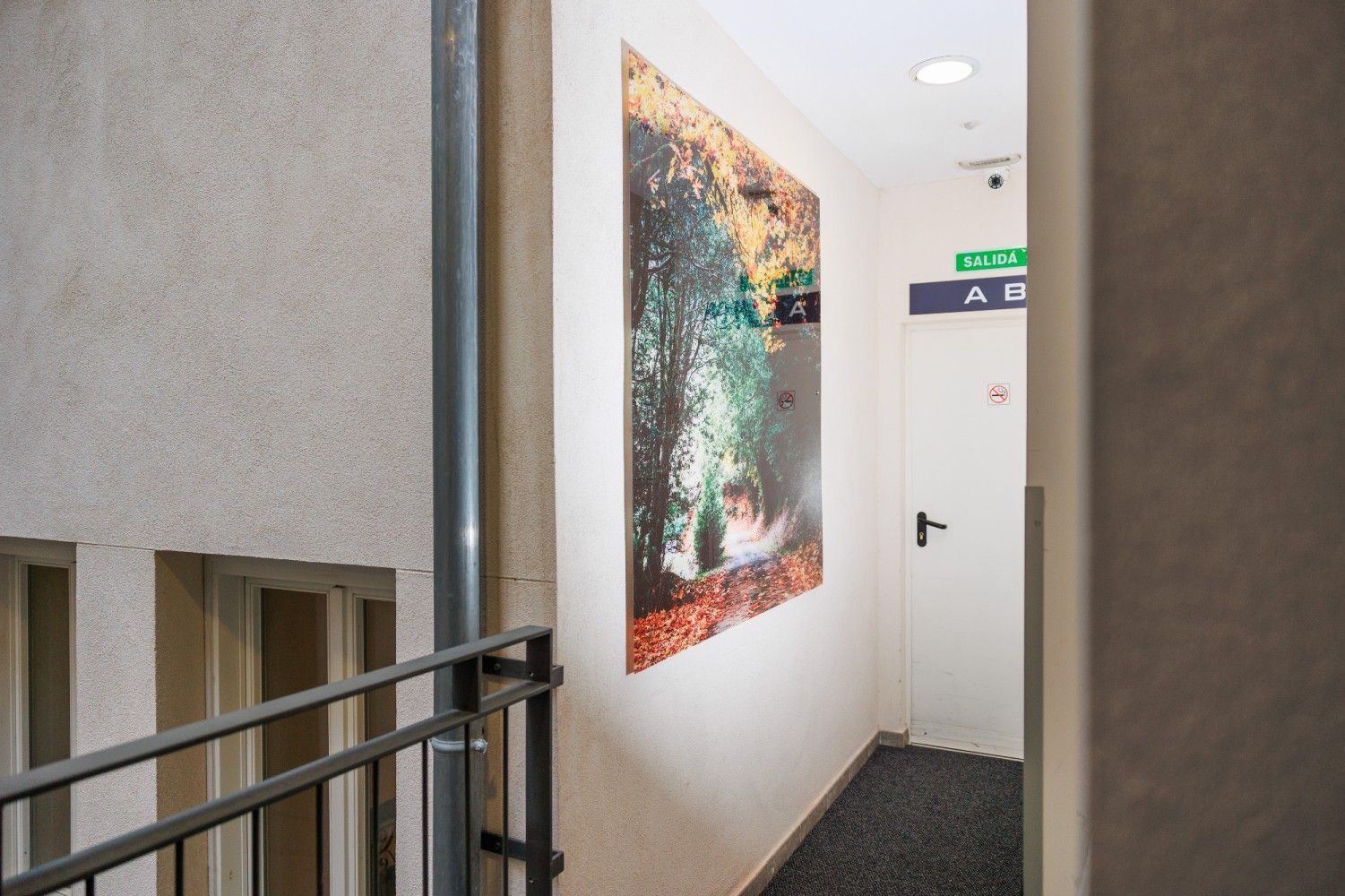 Pasillo de apartamento con barandilla, coloridos murales y una puerta blanca al final.