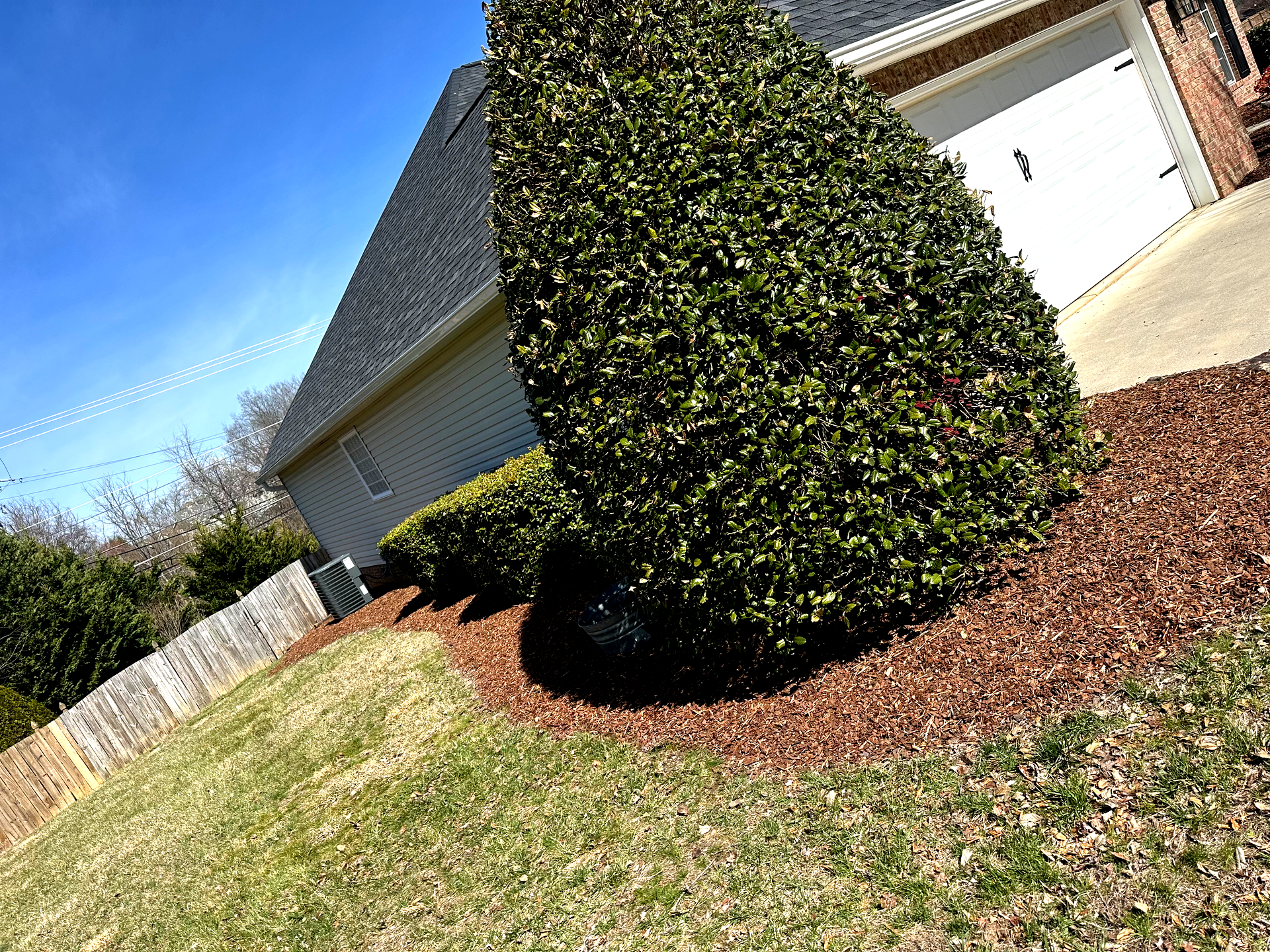 A house with a white garage door and a large, green shrub in front. Brown mulch, blue sky.