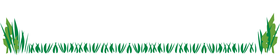 Green grass along the bottom with a white sky. Green grass clumps are on either side.