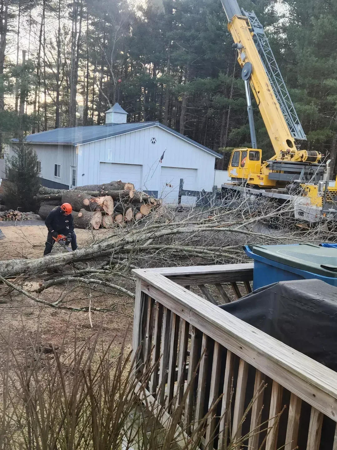 billerica-tree-removal-2