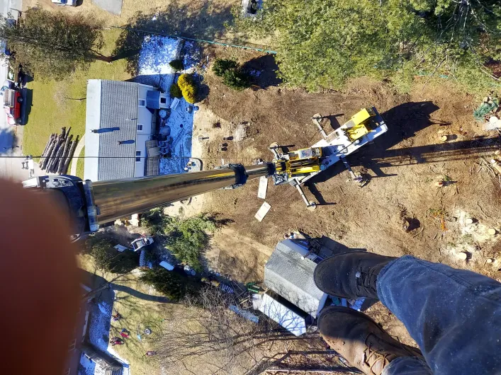 Tree service 10