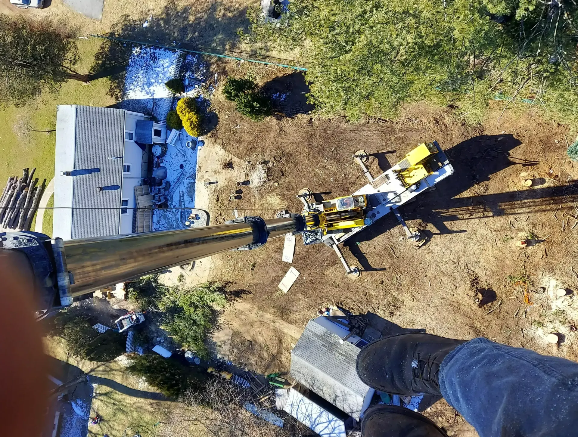 land-clearing