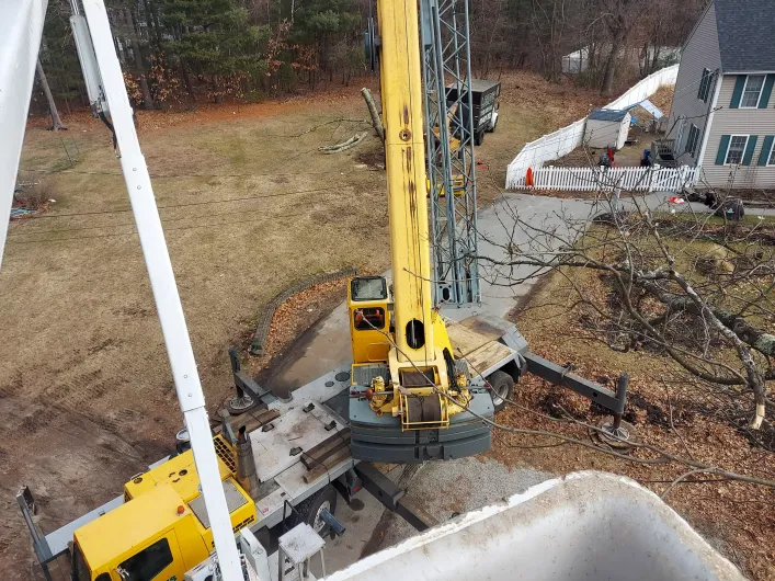 land-clearing 2