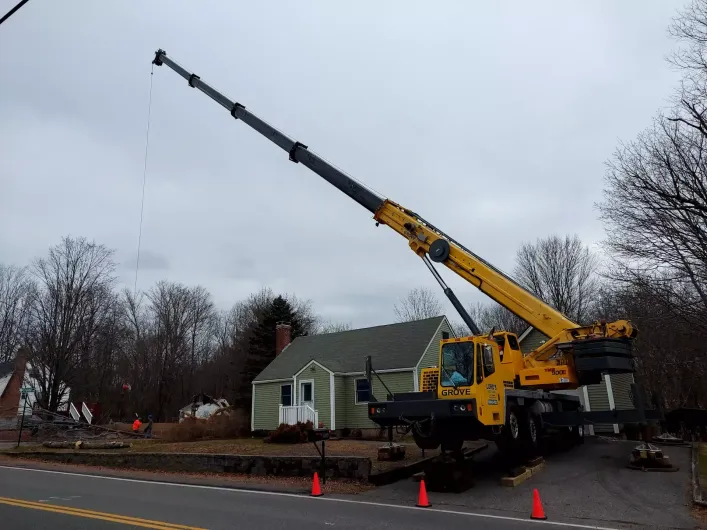 tree-service-boston-ma-3