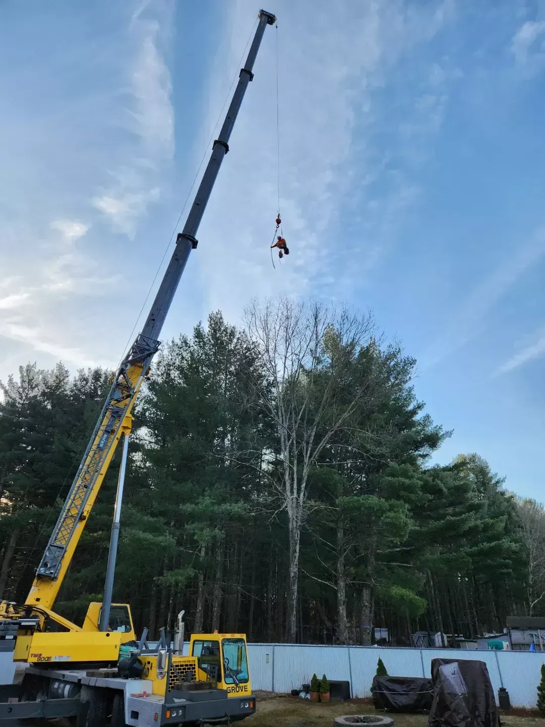 tree services 7