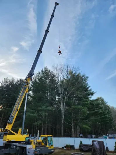 tree-trimming-billerica-2