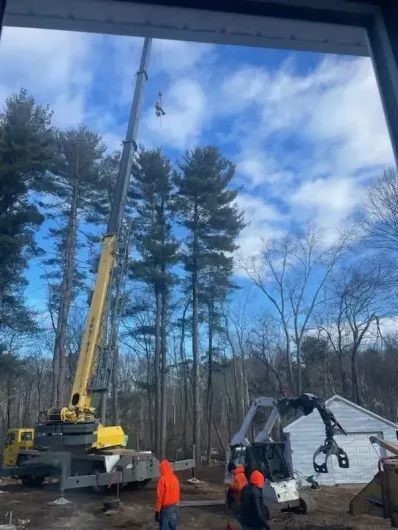 tree-trimming-billerica