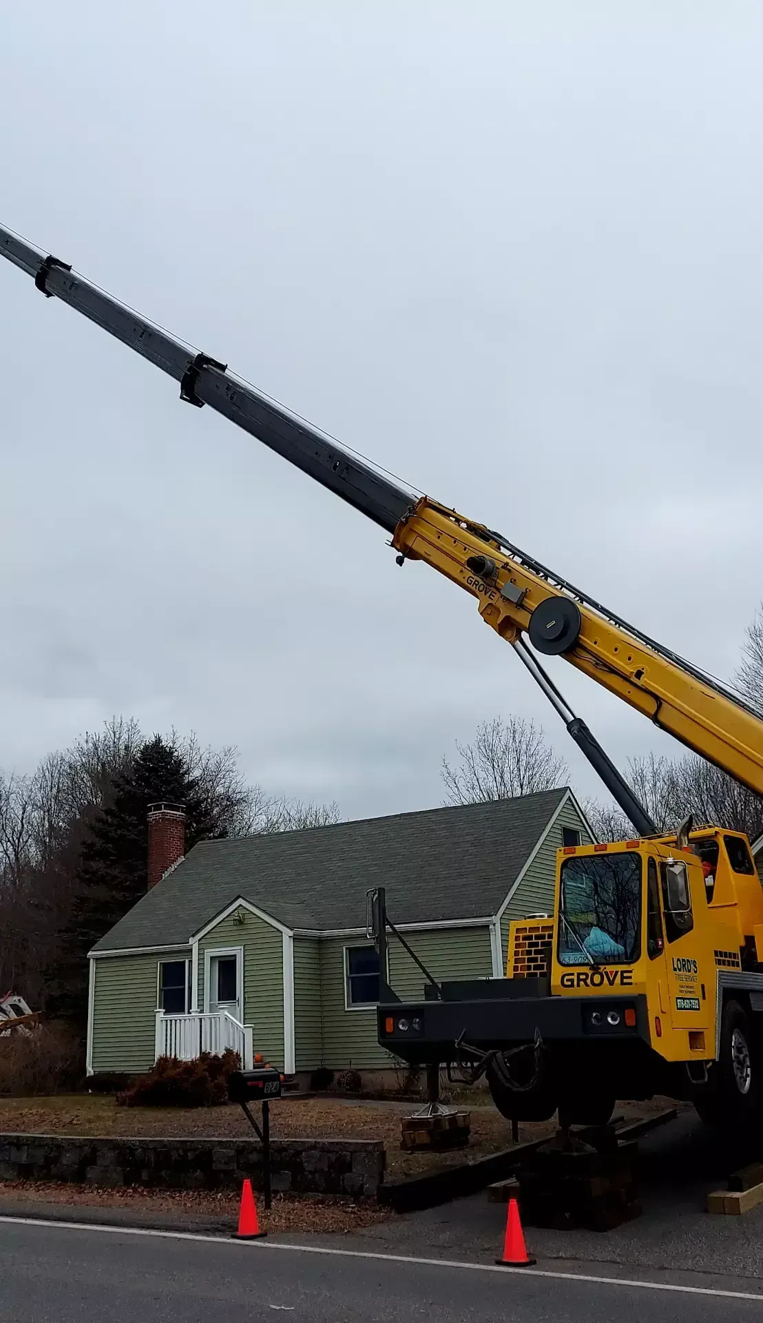 tree services 10