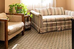 A waiting room with an armchair and striped sofa, potted plant, and patterned carpet.