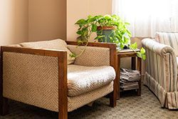 Tan armchair with a wooden frame, next to a small table with a potted green plant.