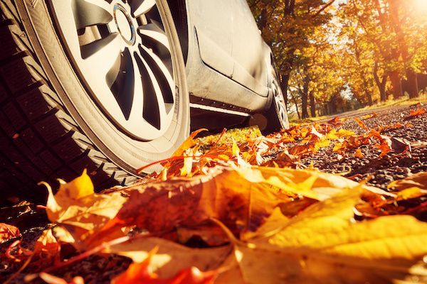 Car tire on a road covered with yellow and orange autumn leaves; sunlit trees in the background.