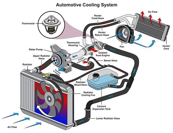 Diagram of an automotive cooling system, showing components like radiator, hoses, water pump, and coolant flow.